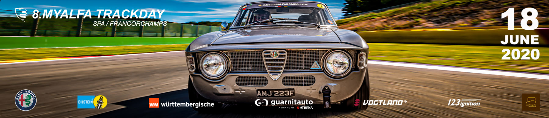 download Alfa Romeo ue workshop manual