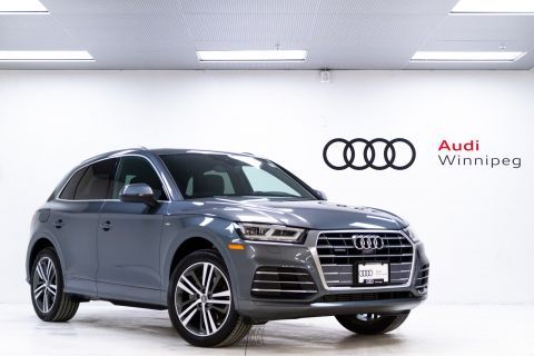 download Audi Q5 workshop manual