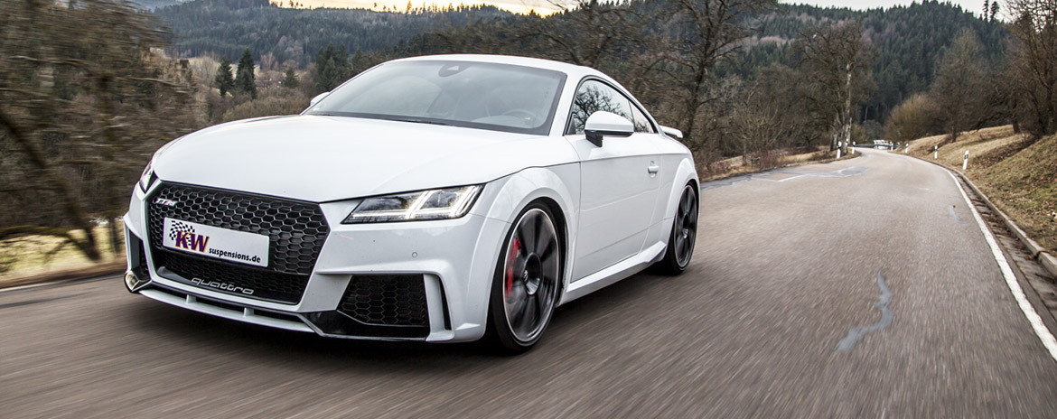 download Audi TT workshop manual