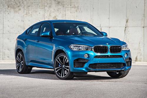 download BMW X6 M workshop manual