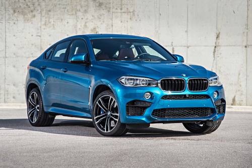 download BMW X6 M workshop manual