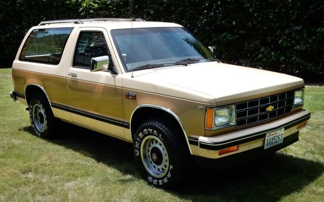 download Chevrolet S10 Blazer workshop manual