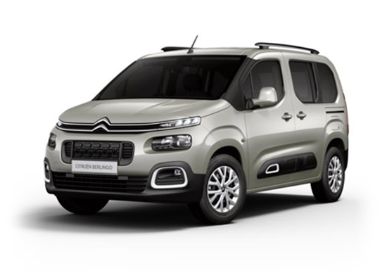 download Citroen Berlingo workshop manual