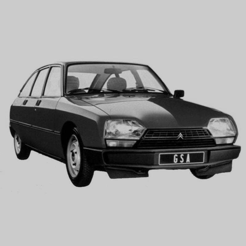 download Citroen GS GSA workshop manual