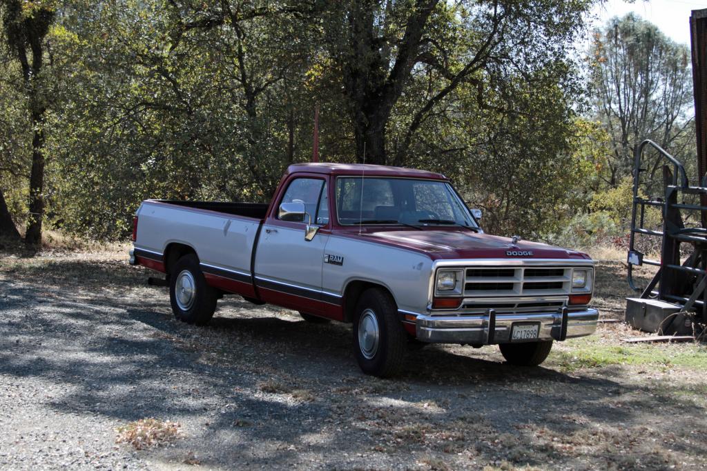 download Dodge D250 workshop manual