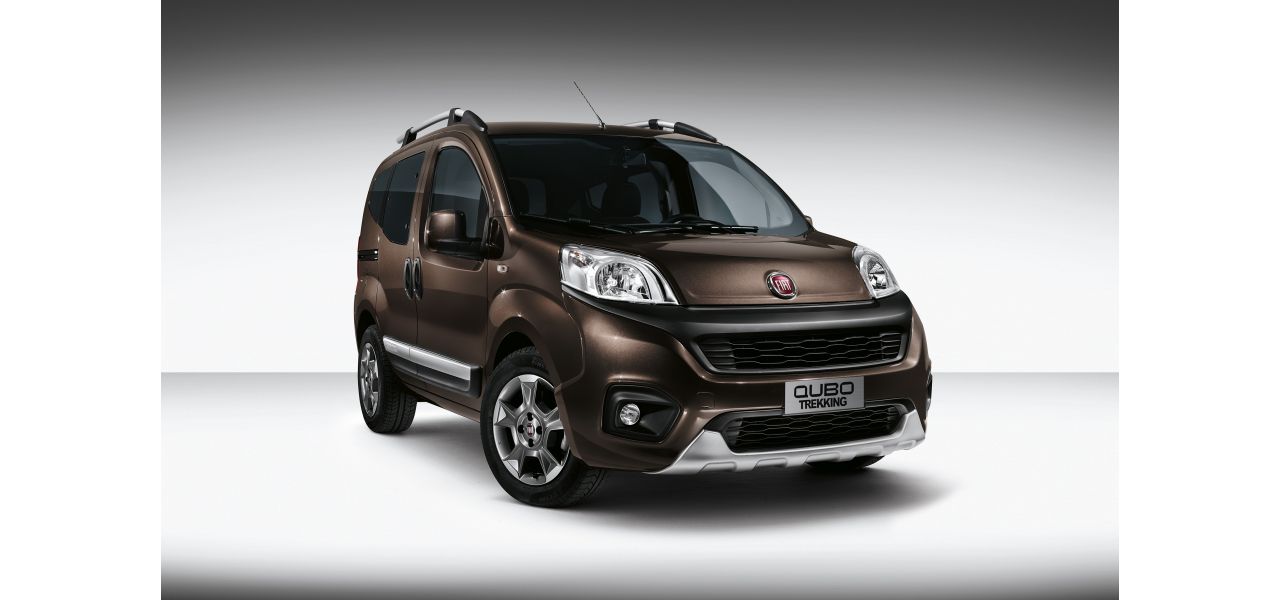 download FIAT QUBO able workshop manual