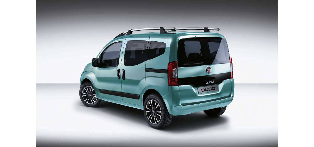 download FIAT QUBO able workshop manual