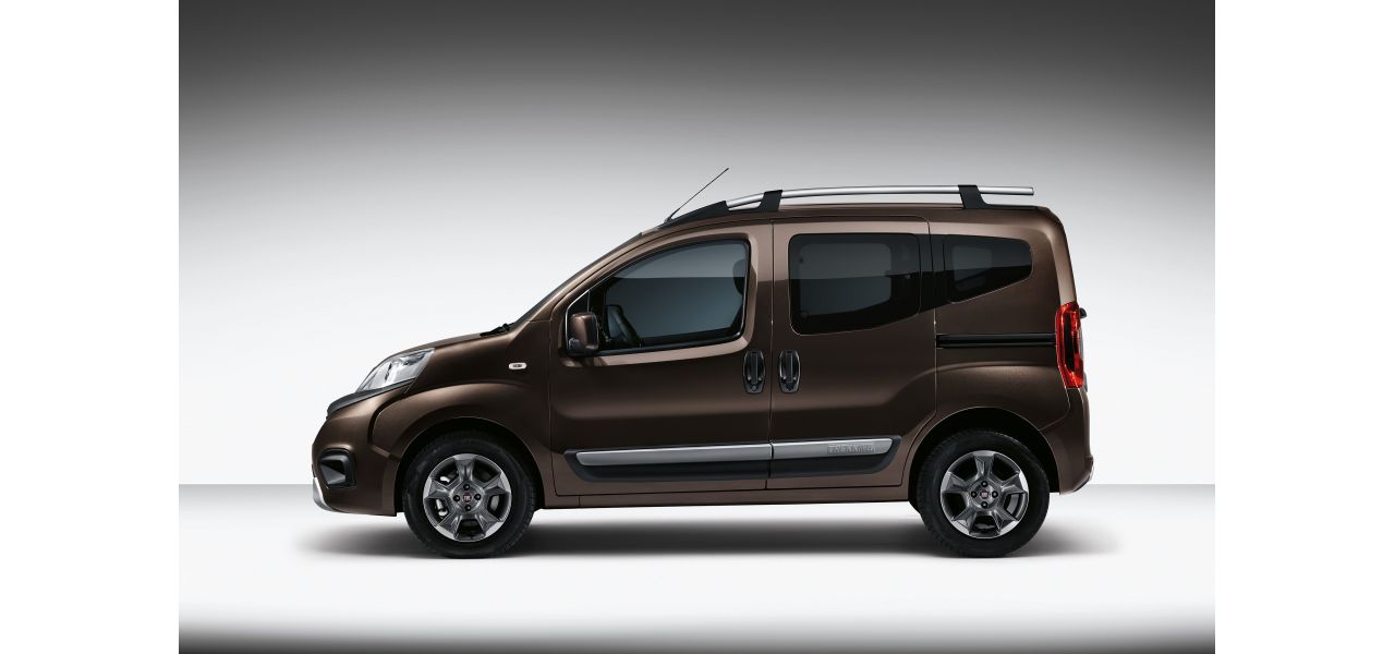 download FIAT QUBO able workshop manual