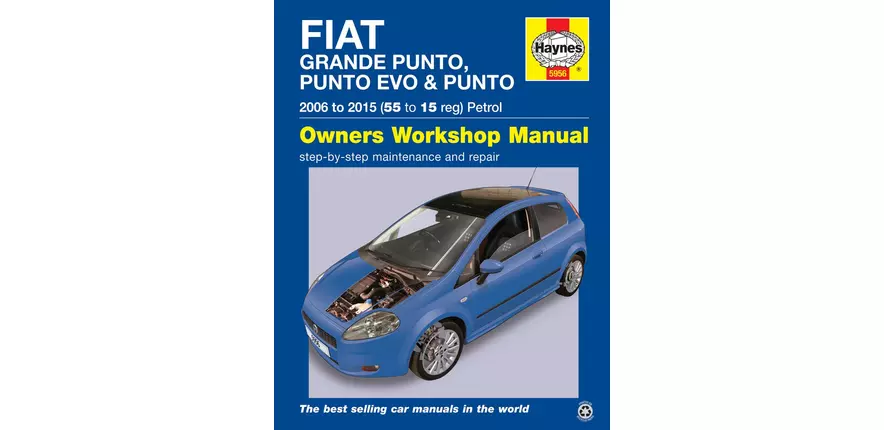 download Fiat Punto able workshop manual