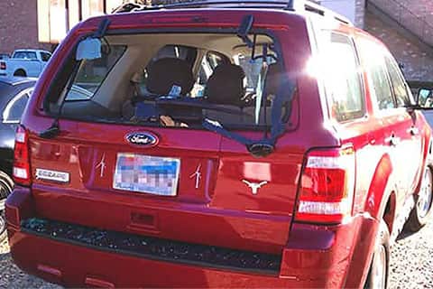 download Ford Escape workshop manual