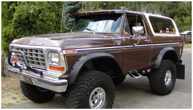 download Ford F 250 Bronco workshop manual