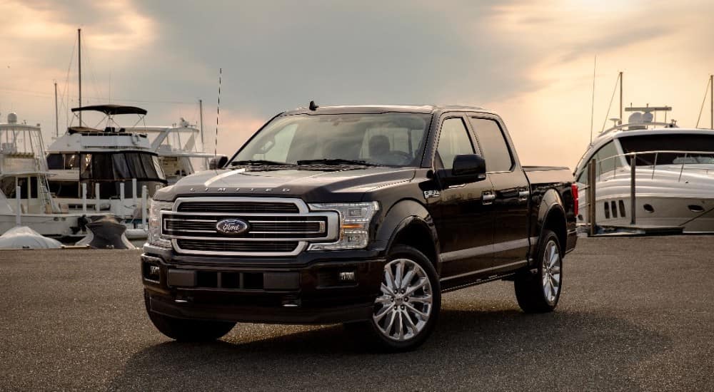 download Ford F150 able workshop manual