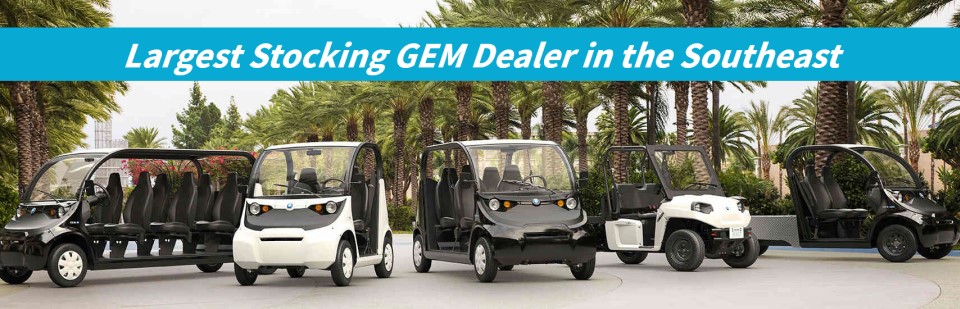 download Gem E2 E4 ES EL Electric Car workshop manual