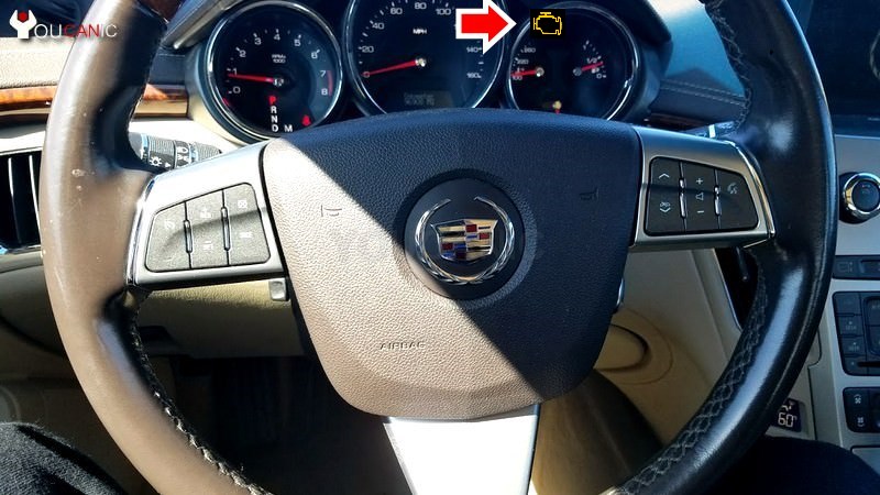 download HOLDEN SIGNUM workshop manual