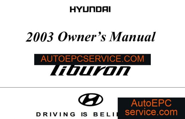 download Hyundai Grandeur XG ETM workshop manual