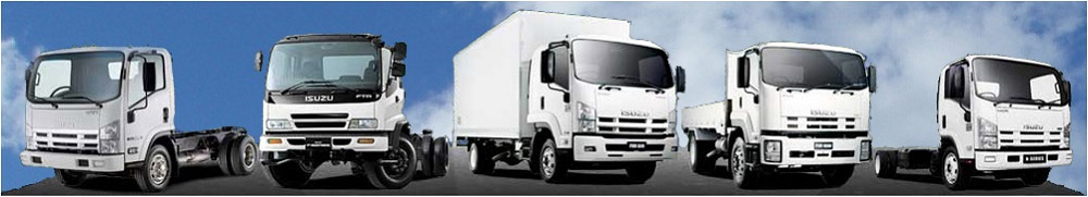 download ISUZU N ISUZU ELF NKR NPR NQR NHR NPS workshop manual