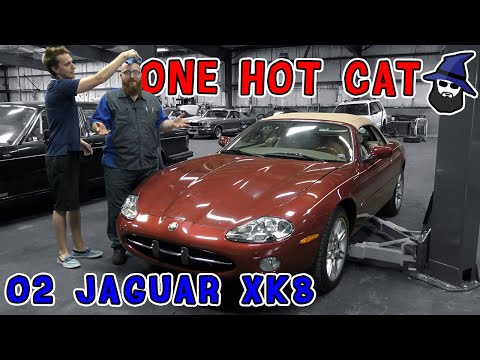 download Jaguar XK8 workshop manual