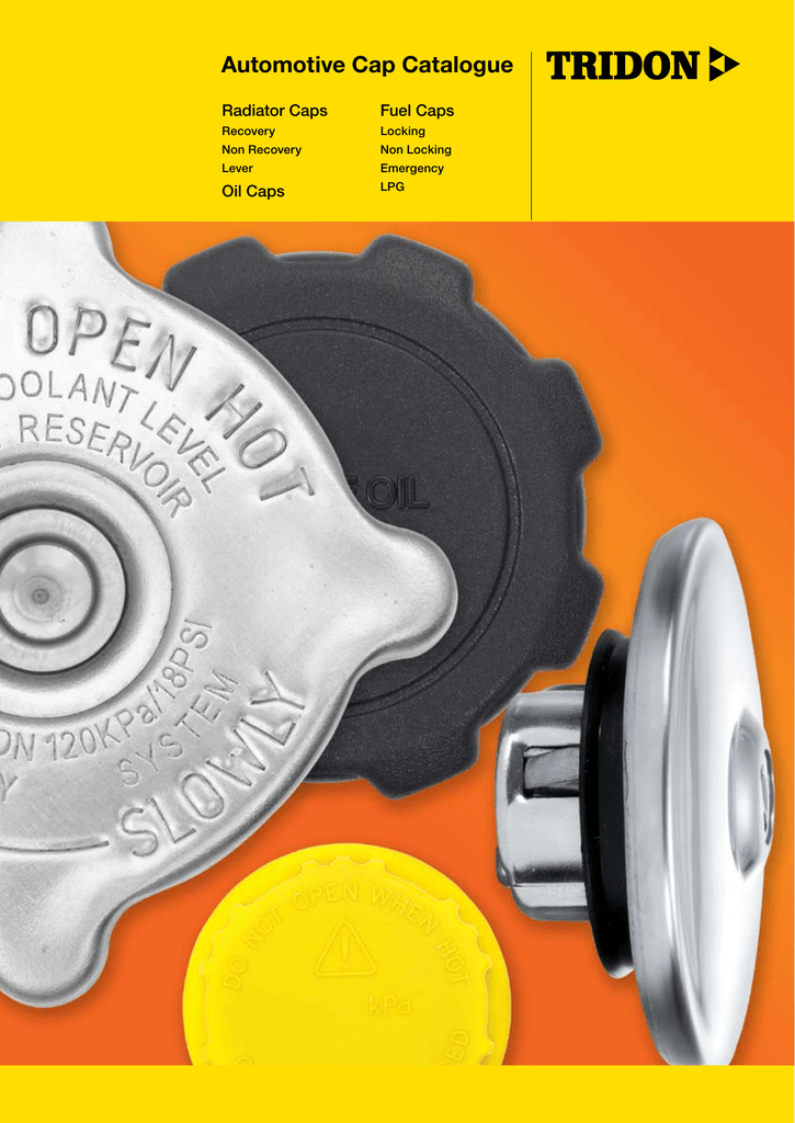 download KIA RIO BC G 1.5 DOHC Engine workshop manual