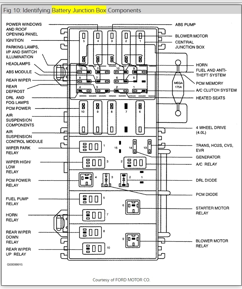 download MOUNTAINEER workshop manual