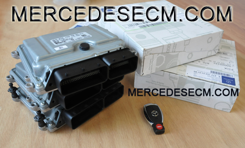 download Mercedes Benz R350 workshop manual