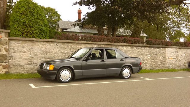 download Mercedes Benz W201 workshop manual