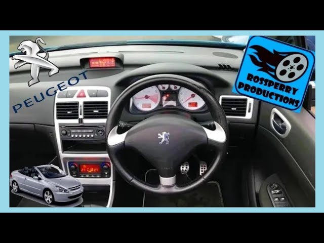 download PEUGEOT 307CC able workshop manual