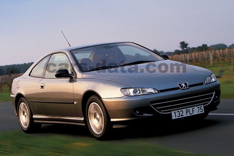 download PEUGEOT 406 COUPE able workshop manual