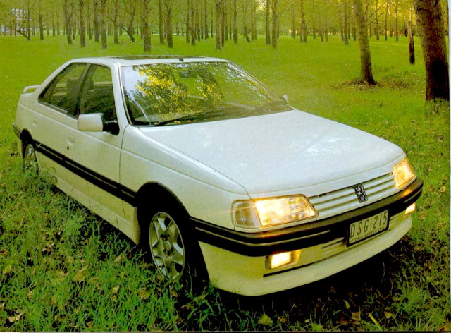 download Peugeot 405 able workshop manual