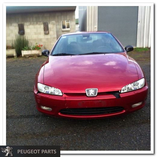 download Peugeot 406 workshop manual