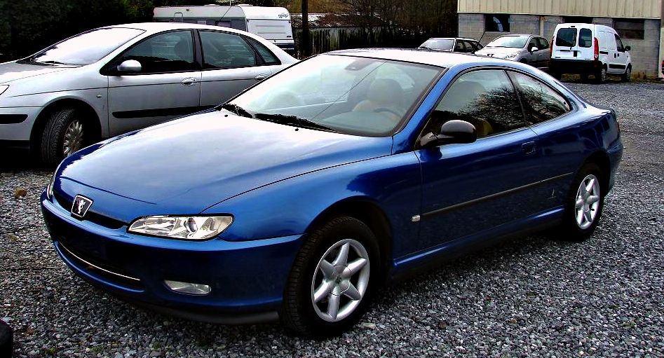 download Peugeot 406 workshop manual