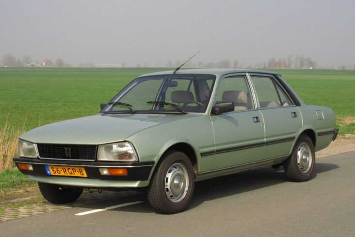 download Peugeot 505  able workshop manual