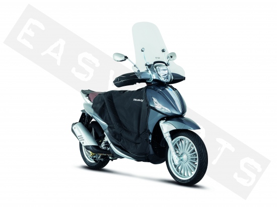 download Piaggio Beverly 300 E3 MY Motorcycle able workshop manual