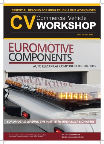 download ROVER 400 Shopable workshop manual