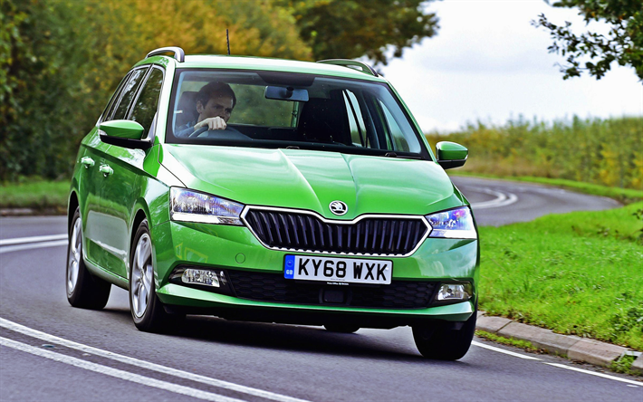 download SKODA FABIA workshop manual