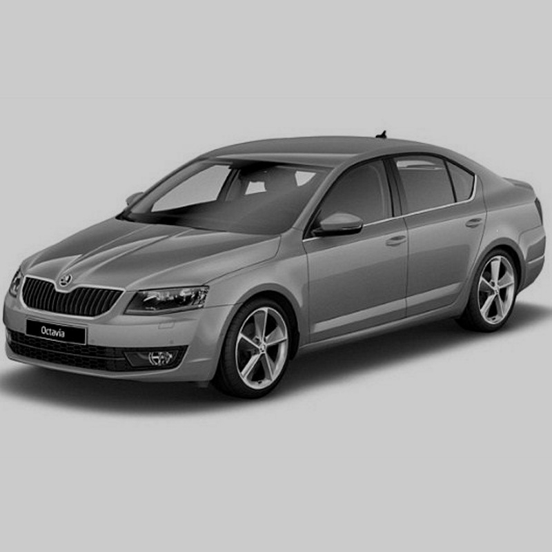 download Skoda Octavia III workshop manual