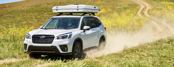 download Subaru Forester able workshop manual